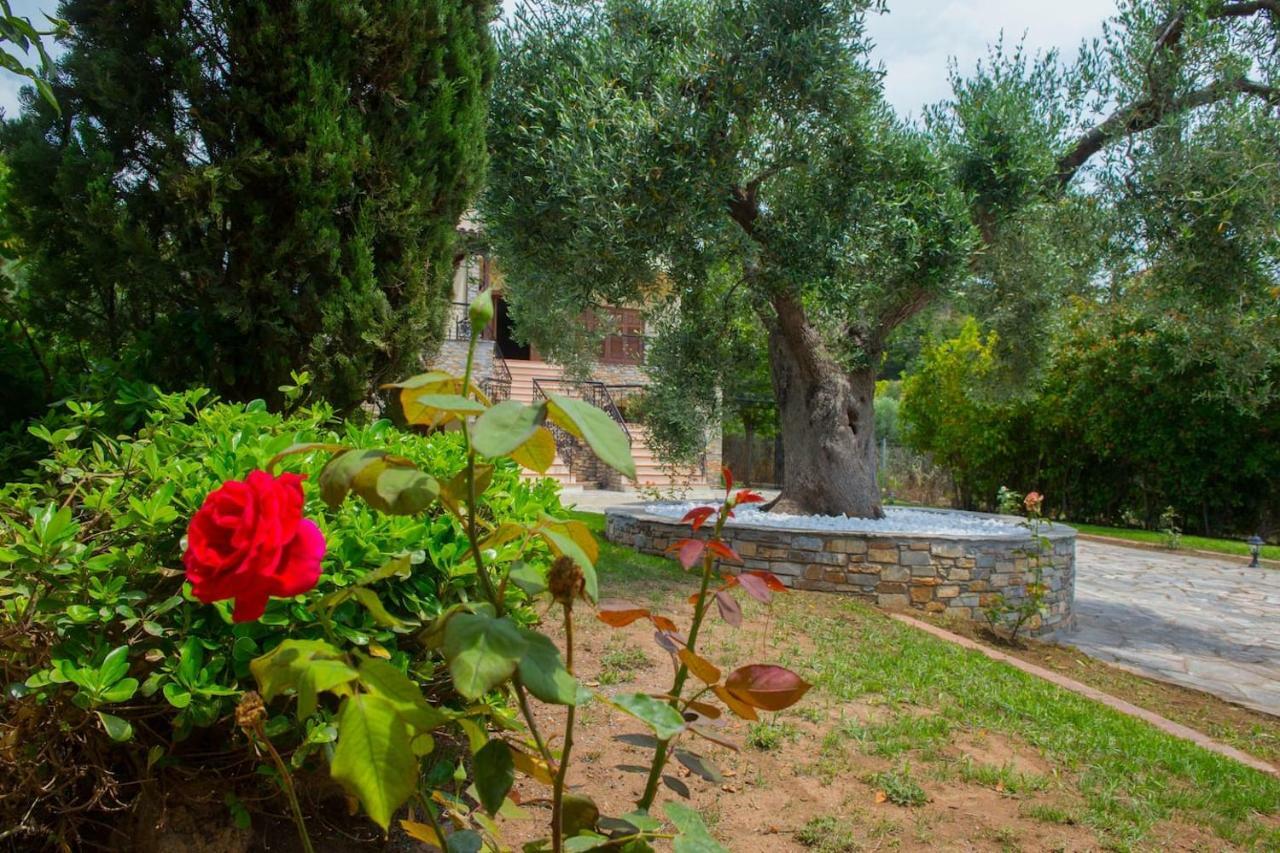 Villa Anna Nea Skioni Luaran gambar